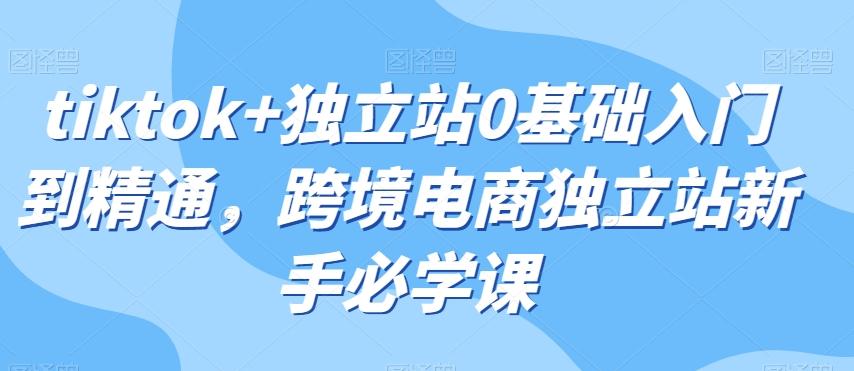 tiktok+独立站0基础入门到精通，跨境电商独立站新手必学课-天使资源网