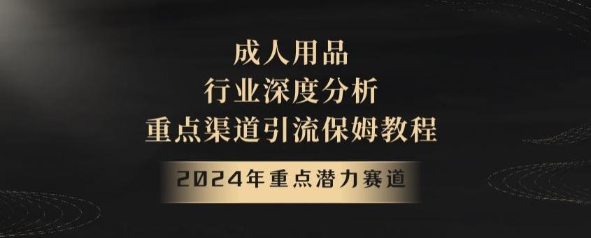 2024年重点潜力赛道，成人用品行业深度分析，重点渠道引流保姆教程【揭秘】-天使资源网