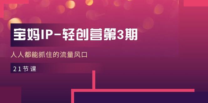 宝妈IP-轻创营第3期，人人都能抓住的流量风口(21节课-天使资源网