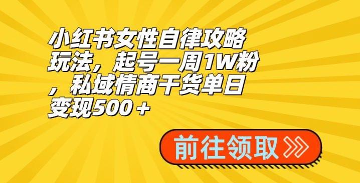 小红书女性自律攻略玩法，起号一周1W粉，私域情商干货单日变现500＋-天使资源网