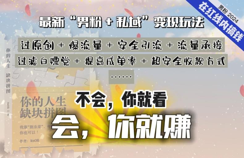 2024，“男粉+私域”还是最耐造、最赚、最轻松、最愉快的变现方式【揭秘】-天使资源网