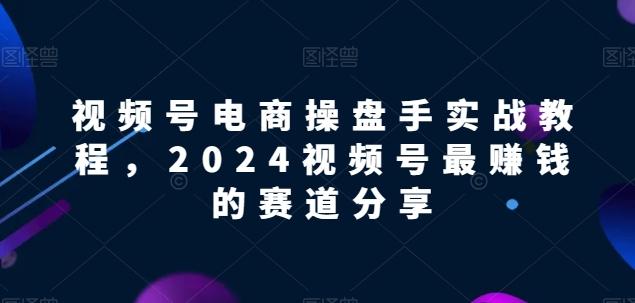 视频号电商实战教程，2024视频号最赚钱的赛道分享-天使资源网