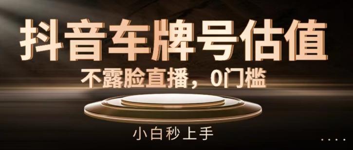 抖音车牌号估值，不露脸直播，0门槛，小白秒上手【揭秘】-天使资源网
