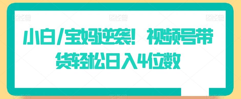 小白/宝妈逆袭！视频号带货轻松日入4位数【揭秘】-天使资源网