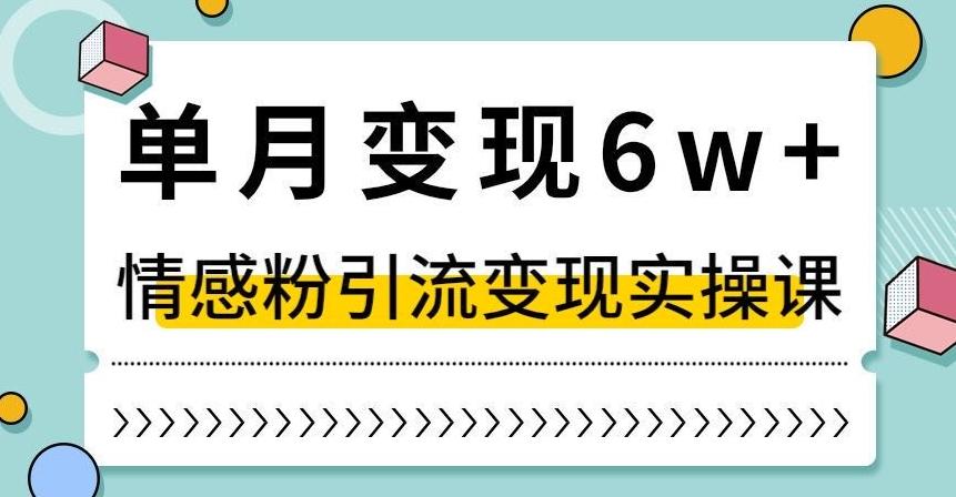 单月变现6W+，抖音情感粉引流变现实操课，小白可做，轻松上手，独家赛道【揭秘】-天使资源网