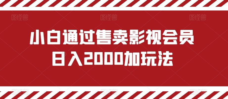 小白通过售卖影视会员日入2000加玩法-天使资源网