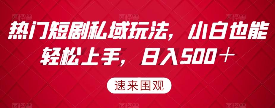 热门短剧私域玩法，小白也能轻松上手，日入500＋-天使资源网