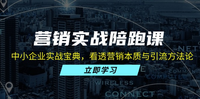 营销实战陪跑课：中小企业实战宝典，看透营销本质与引流方法论-天使资源网