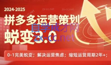 大力老师·2024拼多多运营策略蜕变3.0-天使资源网