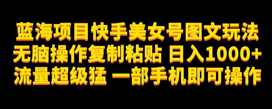 蓝海项目快手美女号图文玩法，无脑操作复制粘贴，日入1000+流量超级猛一部手机即可操作【揭秘】-天使资源网