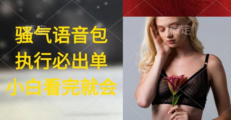 (9589期)执行就出单，日入2000+，超火骚气语音包，小白看完课程就能马上实操-天使资源网