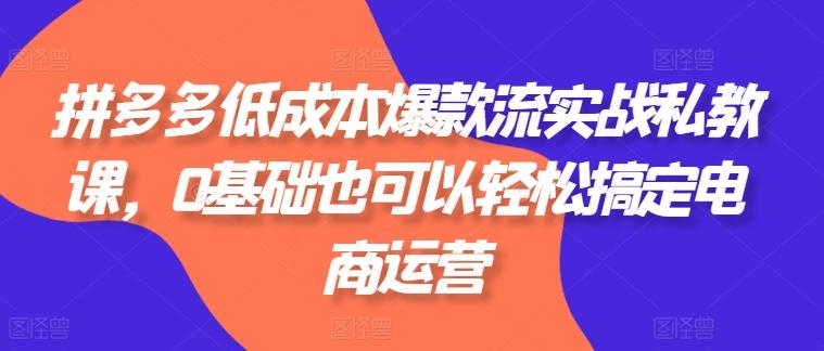 拼多多低成本爆款流实战私教课，0基础也可以轻松搞定电商运营-天使资源网