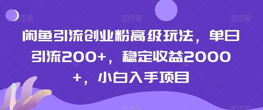 闲鱼引流创业粉高级玩法，单日引流200+，稳定收益2000+，小白入手项目-天使资源网