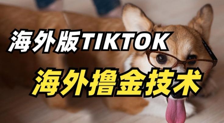 抖音海外版tiktok撸金技术，这个风口行业，赚钱真的不难【揭秘】-天使资源网