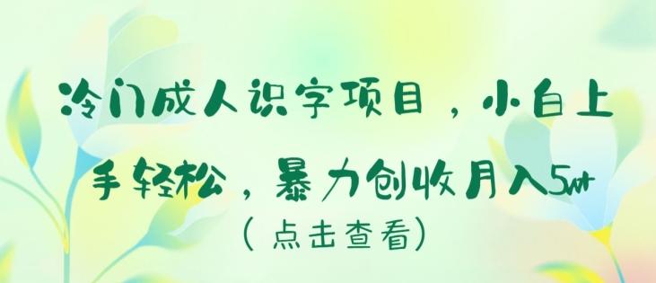 冷门成人识字项目，小白上手轻松，暴力创收月入5w+【揭秘】-天使资源网