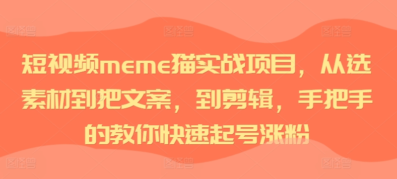 短视频meme猫实战项目，从选素材到把文案，到剪辑，手把手的教你快速起号涨粉-天使资源网