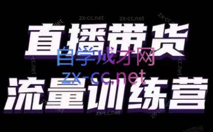 婉婉·直播带货课程系列合集(更新8月)-天使资源网