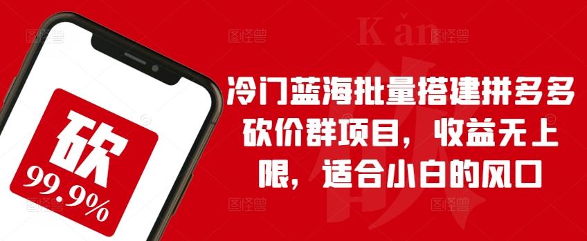 冷门蓝海批量搭建拼多多砍价群项目，收益无上限，适合小白的风口【揭秘】-天使资源网