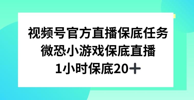视频号直播任务，微恐小游戏，1小时20+【揭秘】-天使资源网