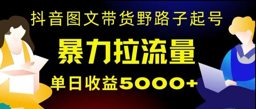 抖音图文带货暴力起号，单日收益5000+，野路子玩法，简单易上手，一部手机即可【揭秘】-天使资源网