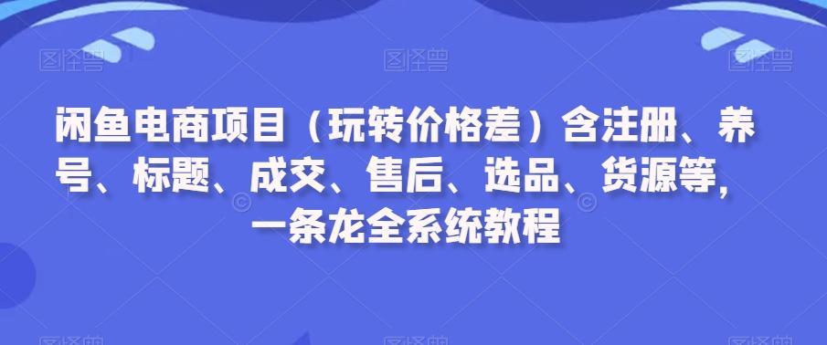 闲鱼电商项目(玩转价格差)含注册、养号、标题、成交、售后、选品、货源等，一条龙全系统教程-天使资源网