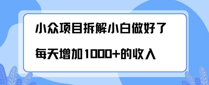 小众项目拆解，小白做好了每天可增加1000多的收入-天使资源网