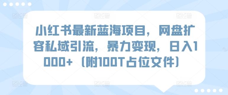 小红书最新蓝海项目，网盘扩容私域引流，暴力变现，日入1000+(附100T占位文件)【揭秘】-天使资源网