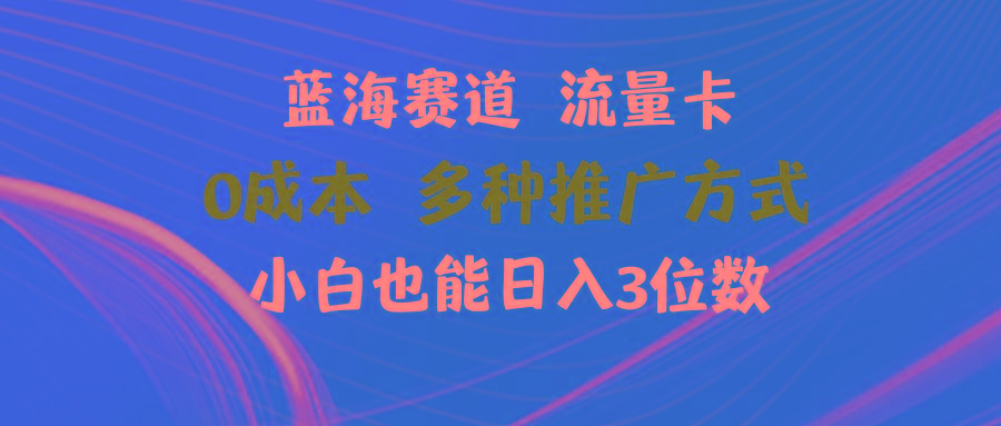 蓝海赛道 流量卡 0成本 小白也能日入三位数-天使资源网