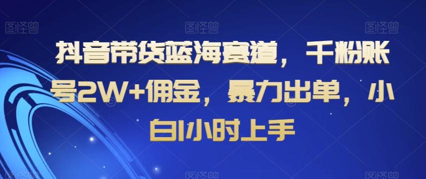 抖音带货蓝海赛道，千粉账号2W+佣金，暴力出单，小白1小时上手【揭秘】-天使资源网