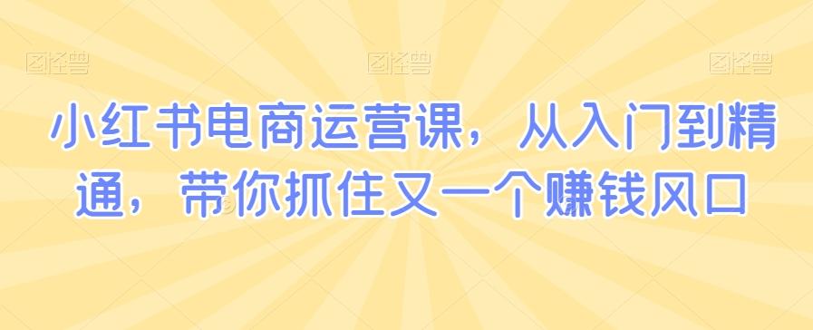 小红书电商运营课，从入门到精通，带你抓住又一个赚钱风口-天使资源网