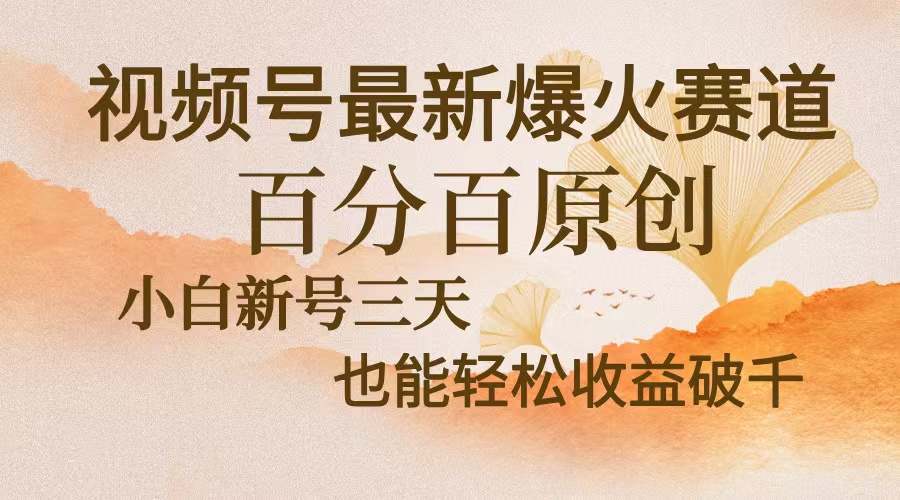 视频号最新爆火赛道，中老年粉深信不疑，百分百原创，新号三天收益轻松…-天使资源网