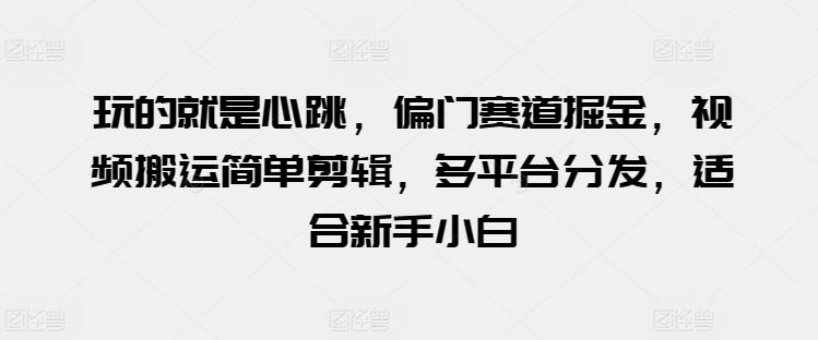 玩的就是心跳，偏门赛道掘金，视频搬运简单剪辑，多平台分发，适合新手小白【揭秘】-天使资源网