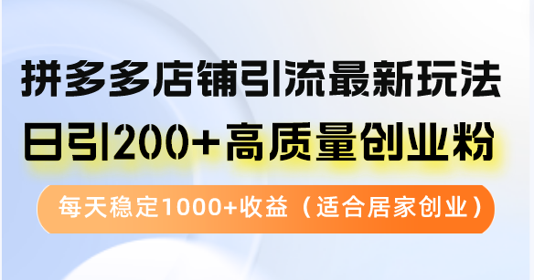 拼多多店铺引流最新玩法，日引200+高质量创业粉，每天稳定1000+收益(…-天使资源网