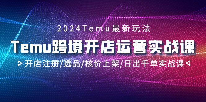 2024Temu跨境开店运营实战课，开店注册/选品/核价上架/日出千单实战课-天使资源网