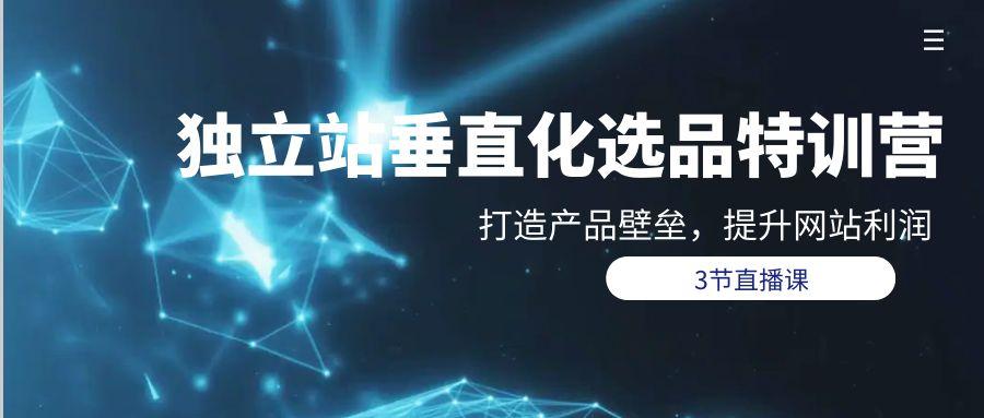 (9925期)独立站-垂直化选品训练营，打造产品壁垒，提升网站利润(3节直播课)-天使资源网