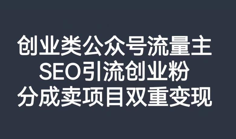 创业类公众号流量主，SEO引流创业粉，分成卖项目双重变现【揭秘】-天使资源网
