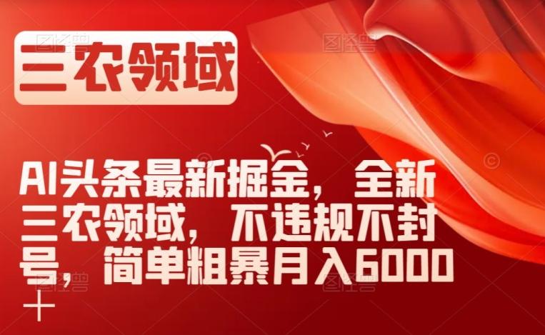 AI头条最新掘金，全新三农领域，不违规不封号，简单粗暴月入6000＋【揭秘】-天使资源网