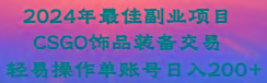 2024年最佳副业项目 CSGO饰品装备交易 轻易操作单账号日入200+-天使资源网