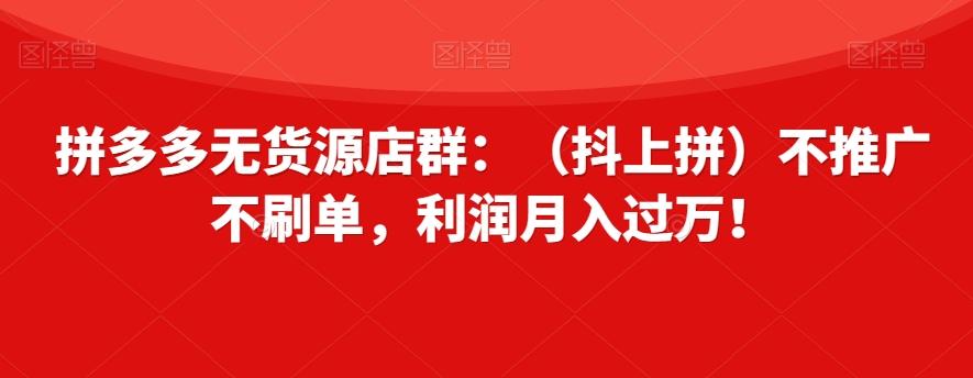 拼多多无货源店群：（抖上拼）不推广不刷单，利润月入过万！【揭秘】-天使资源网