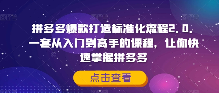拼多多爆款打造标准化流程2.0，一套从入门到高手的课程，让你快速掌握拼多多-天使资源网