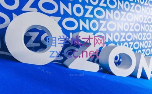 森哥·出海俄罗斯电商实操(2024)-天使资源网