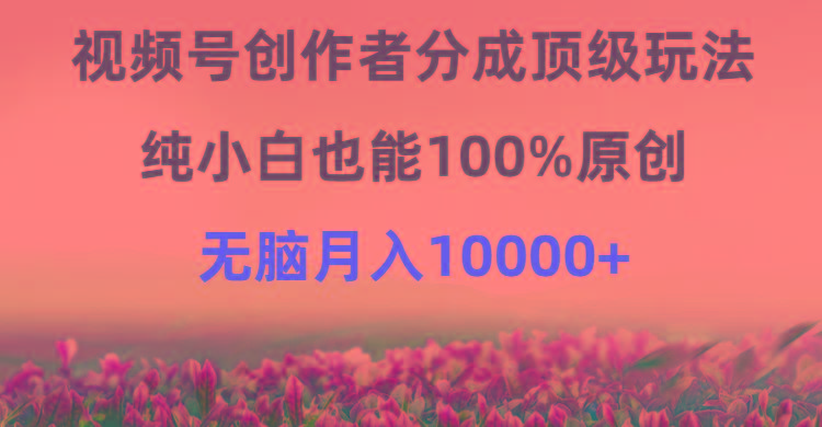 (9608期)视频号创作者分成顶级玩法，纯小白也能100%原创，无脑月入10000+-天使资源网