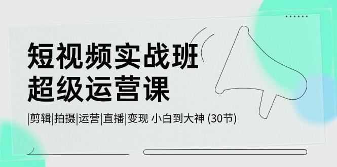 短视频实战班超级运营课 |剪辑|拍摄|运营|直播|变现 小白到大神 (30节)-天使资源网