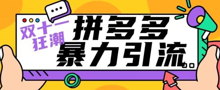 【首发】双十一拼多多暴力引流，日引300+微信-天使资源网