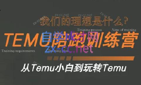 苗苗·拼多多跨境（temu）课程-天使资源网