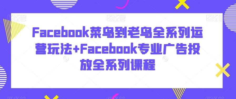 Facebook菜鸟到老鸟全系列运营玩法+Facebook专业广告投放全系列课程-天使资源网