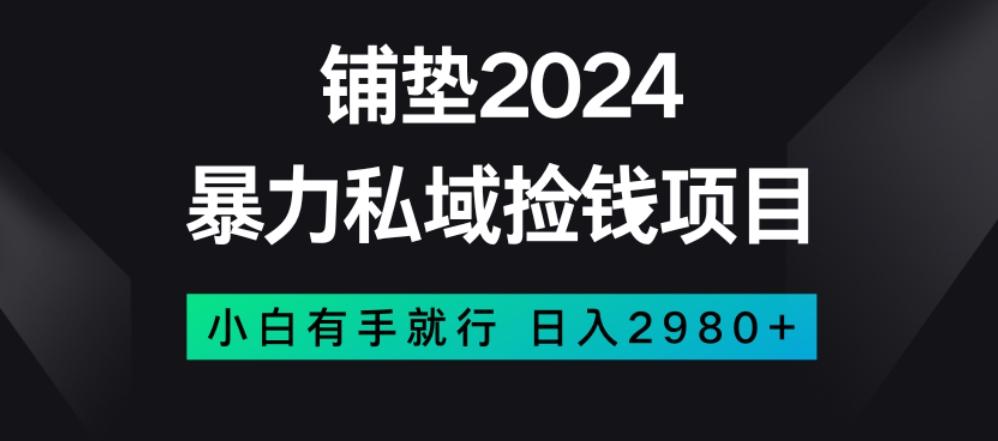暴力私域捡钱项目，小白无脑操作，日入2980【揭秘】-天使资源网