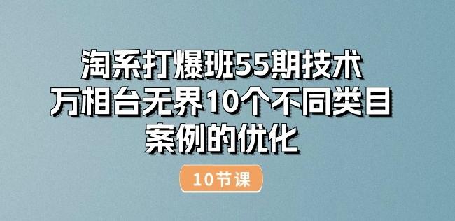 淘系打爆班55期技术：万相台无界10个不同类目案例的优化(10节)-天使资源网