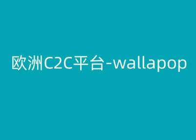 欧洲C2C平台-wallapop-kim跨境电商教程-天使资源网