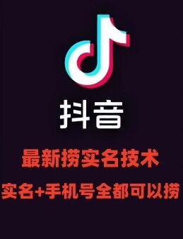 最新技术抖音捞实名+捞手机号技术，抖音直播封禁释放十名/手机号，直接替换出来!-天使资源网
